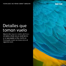Tóner Xerox 113r00668 Original, Negro