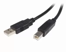Cable Usb Startech.com Transferencia De Datos 480 Mbit/s, Color Negro