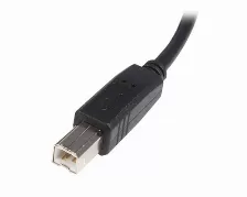Cable Usb Startech.com Transferencia De Datos 480 Mbit/s, Color Negro